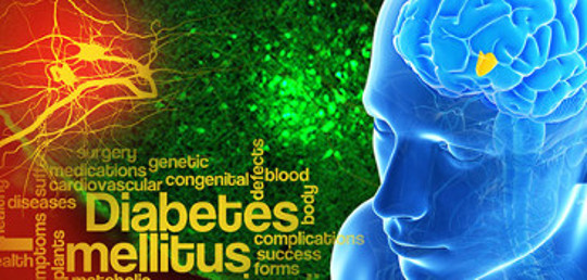 Glucose Control Switch Links Both Types Of Diabetes