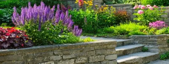 For Natural Gardening Go Native
