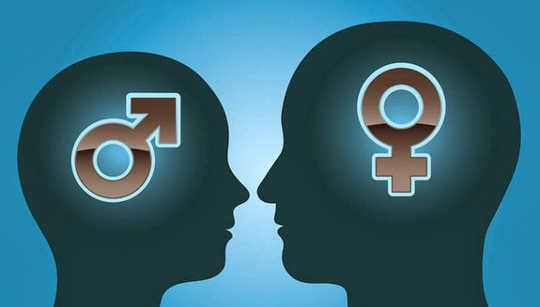 A Beginner's Guide To Sex Differences In The Brain