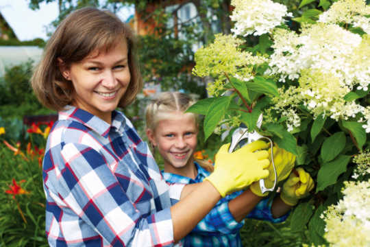 How Do We Keep Gardening In The Face Of A Changing Climate?