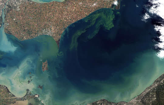 Voluntary Steps Are Failing To Shrink Algae Blooms And Dead Zones
