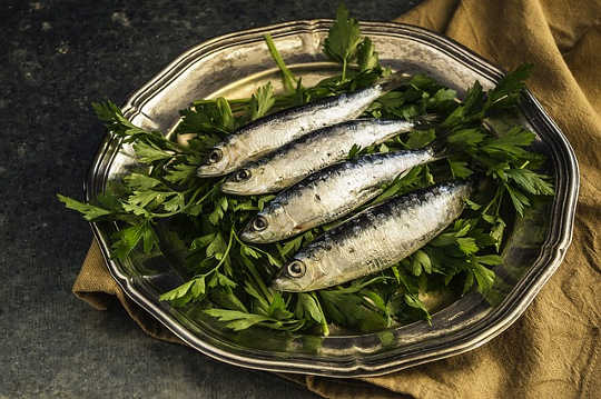 For Better Gut Bacteria, Eat More Oily Fish