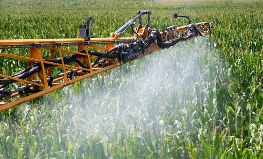 New Research Suggests Common Herbicides Are Linked To Antibiotic Resistance