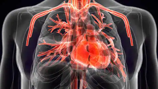 Why A Single Workout Could Save Your Life