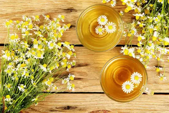 Chamomile Tea May Help Control Diabetes