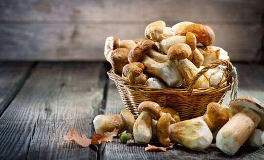 How The Lowly Mushroom Is Becoming A Nutritional Star