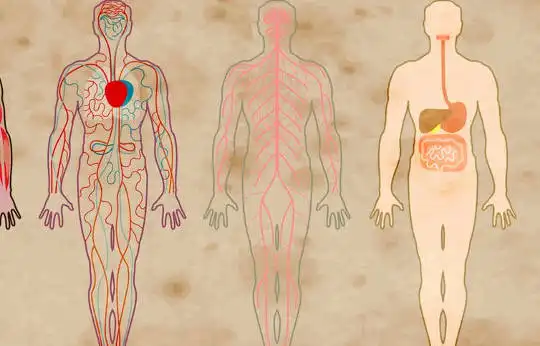 How Schizophrenia Affects The Body, Not Just The Brain