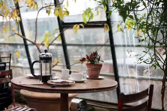 Does Drinking Coffee Help You Live Longer?