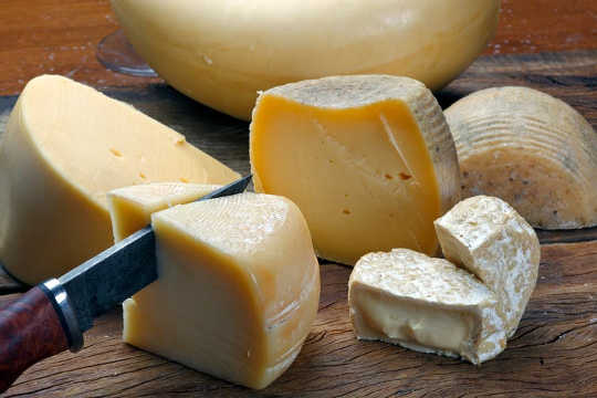 The Surprising Role Cheese Played In Human Evolution