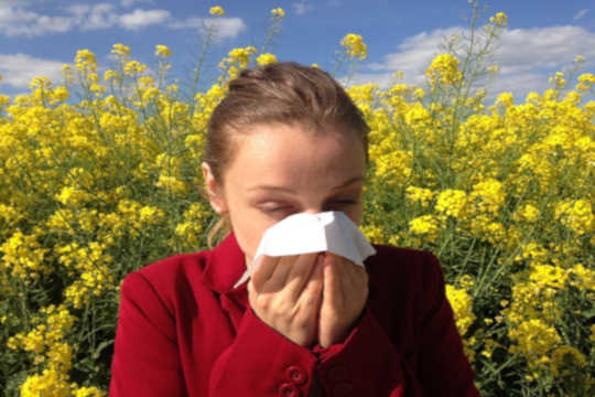 What Are Allergies And Why Are We Getting More Of Them?