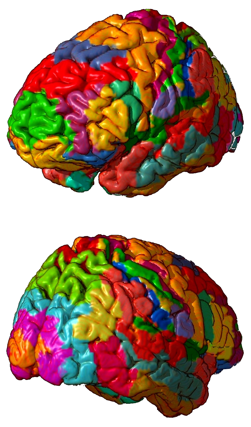 Mapping the brain: scientists define 180 distinct regions, but what now?
