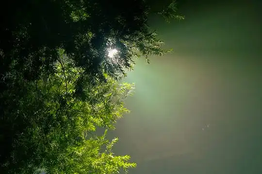 Healing with Dream Imagery: Access The Power Of Your Own Dreaming