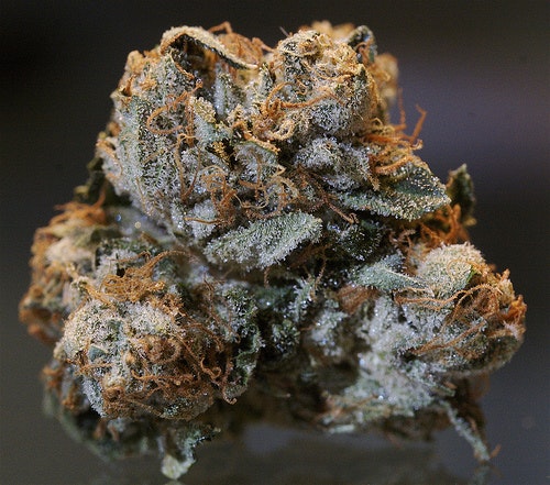 Marijuana is a lot more than just THC Marijuana is a lot more than just THC