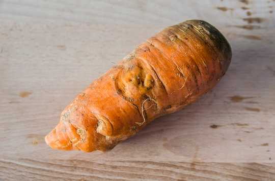 How To Get People To Eat Ugly Vegetables, Weird Bugs, and Drink Sewage