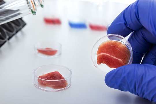 Should Lab-grown Meat Be Labelled As Meat When It's Available For Sale?