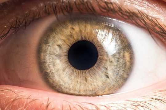 Bacteria Live On Our Eyeballs And Understanding Their Role Could Help Treat Common Eye Diseases
