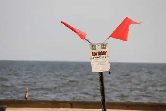 Yes, Flesh-eating Bacteria Are In The Warm Coastal Waters – But It Doesn't Mean You'll Get Sick