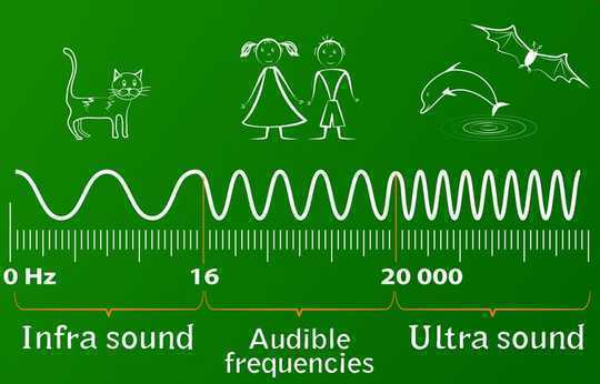 The New Field of Sonogenetics Uses Sound Waves To Control The Behavior Of Brain Cells