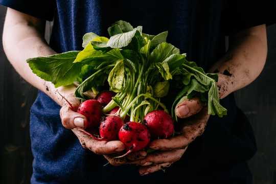 Organic Food Health Benefits Have Been Hard To Assess, But That Could Change