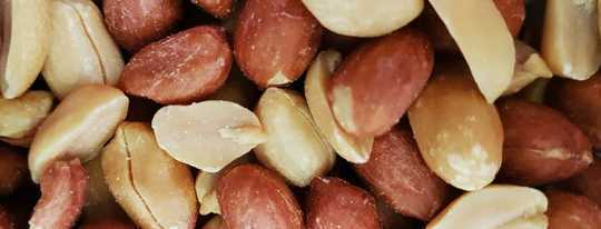 Why Peanuts Trigger Such Powerful Allergic Reactions