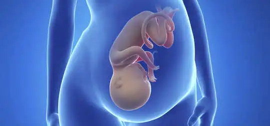 Prenatal Exposure To These Pesticides May Change Teen Brain