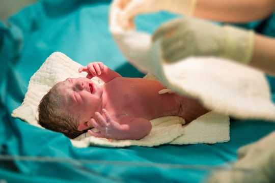 The Womb Isn't Sterile – Healthy Babies Are Born With Bacteria And Fungi In Their Guts