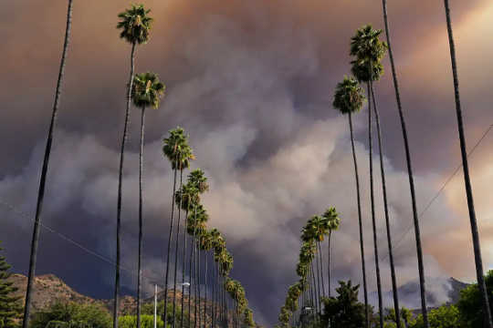 Wildfire smoke pours over palm trees lining a street in Azusa, Calif., on Aug. 13, 2020. (what s in that wildfire smoke that is so bad for your lungs)