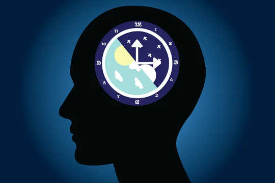 How This Circadian Rhythm Liver Gene Helps The Body Keep Working Smoothly After Late Nights And Midnight Snacks