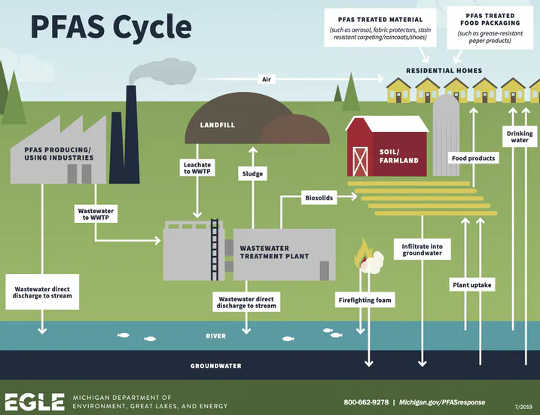  (PFAs forever chemicals are widespread and threaten human health)