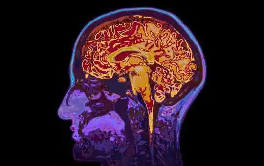 Five Amazing Facts About Your Brain