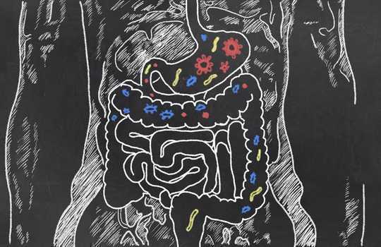 What Are Probiotics And How You Might Benefit From Them