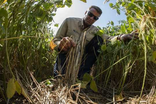 It's Time To Rethink The Disrupted Food System From The Ground Up