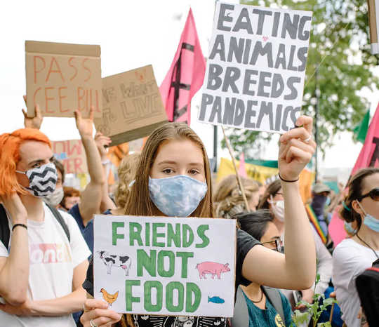 Animal rights protesters march in London, U.K. on Sept. 1, 2020.