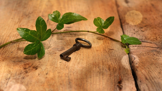 photo of a key and a vine