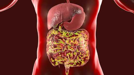 A Healthy Microbiome Builds A Strong Immune System That Could Help Defeat Covid-19