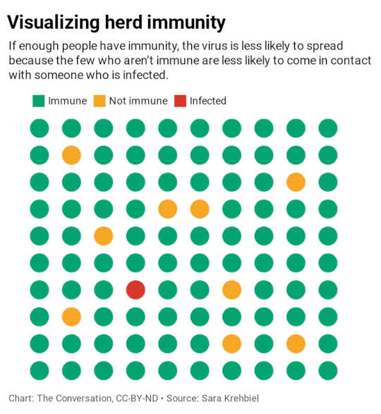 Why Herd Immunity Won’t Solve The Pandemic