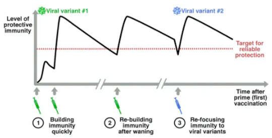 Why Do We Need Booster Shots, And Could We Mix And Match Different Vaccines?