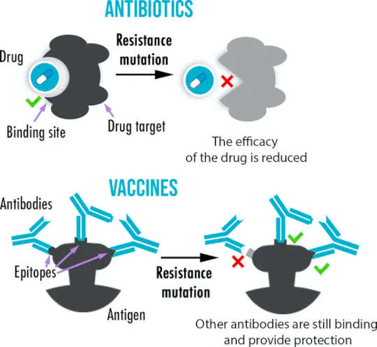 Why Resistance Is Common In Antibiotics, But Rare In Vaccines