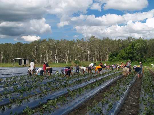 As Heatwaves Become More Extreme, Which Jobs Are Riskiest?