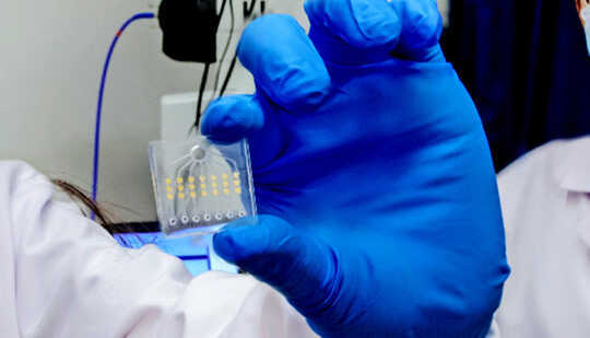 A researcher holds a lab-on-a-chip