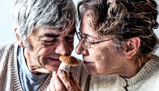 An older couple smells a mushroom together
